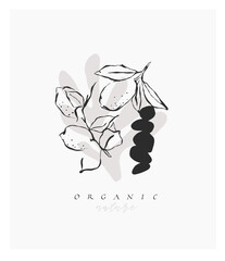 Hand drawn vector abstract graphic line art simple,contemporary collection print with boho aesthetics organic graphic shapes.Fashion feminine concept design for wall decor,print,wallpaper,background.