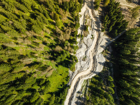 Aerial view of a forest with trees at Croda dei Baranci (Birkenkofel) mountain peak on the Dolomites range, San Candido (Innichen), Trentino, South Tyrol, Italy.
