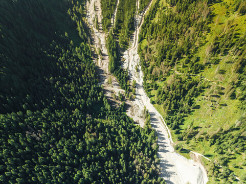 Aerial view of a forest with trees at Croda dei Baranci (Birkenkofel) mountain peak on the Dolomites range, San Candido (Innichen), Trentino, South Tyrol, Italy.