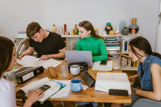 Young friends doing school assignment together at home