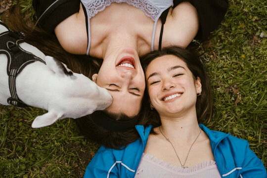 Directly above view of happy young women lying on grass with Bull Terrier