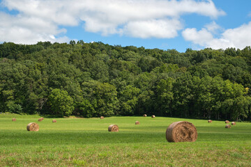 Round hay or straw bales in a green field with a forest and partly cloudy blue sky in the...