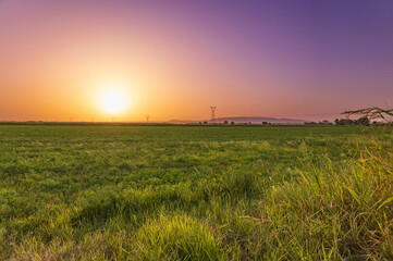 Fototapeta na wymiar Beautiful plain fields in a golden sunset