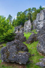 View of the practice climbing rocks near Kemnitzenstein near Bamberg/Germany in Franconian Switzerland