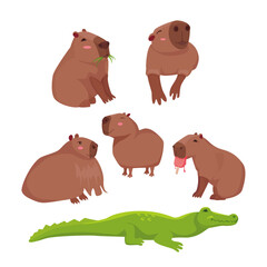 Vector set with cartoon capybaras on a transparent background. Capybaras, crocodile, south america animals. Friendly wild animals.