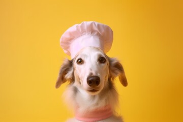 Close-up portrait photography of a cute borzoi wearing a chef hat against a pastel yellow background. With generative AI technology