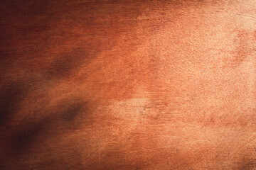 Old wood texture crack, gray-brow tone. Use this for wallpaper or background image. There is a blank space for text...