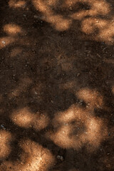 Red soil background with light shapes, natural rocky ground
- 644136093
