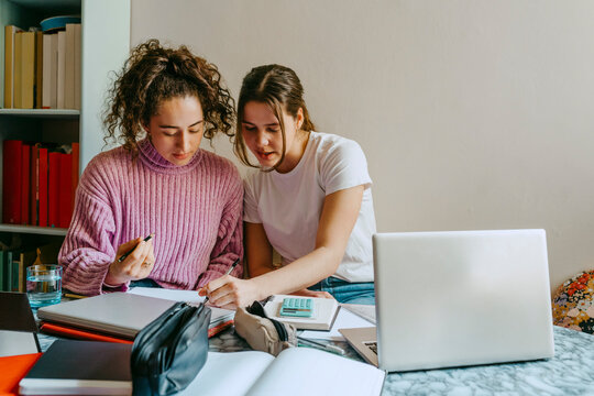 Young female friends helping each other with homework