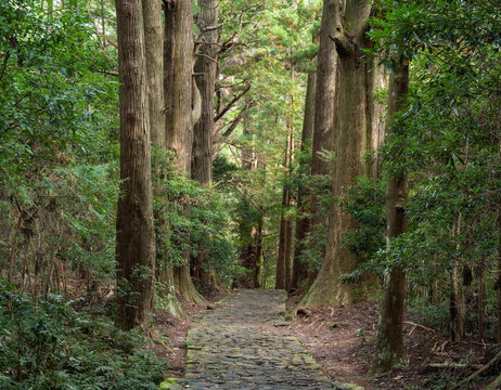 Kumano Kodo pilgrimage trail,  Wakayama Prefecture, Japan