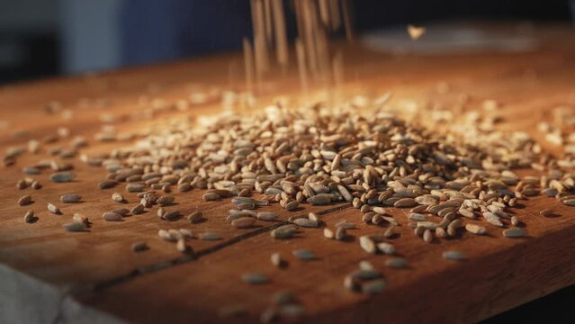 Rye grains trop on a wooden board. Close-up.