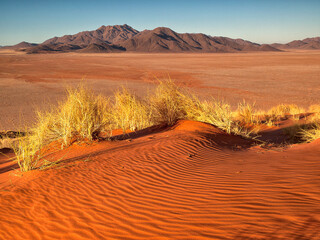Namib desert, Namibia, Africa.