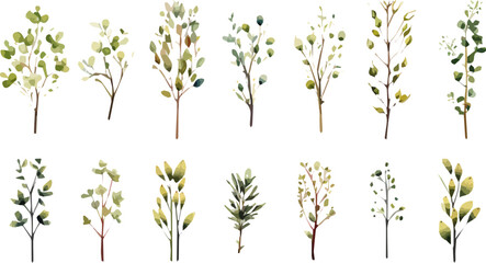 Watercolor green tree with leaf