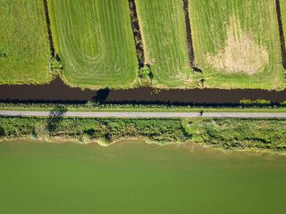 aerial shot of land and water, recreation meets faming at the surfplas manmade lake in Reeuwijkse plassen. Cycle path separates wetland from agricultural polders on sunny summer day - obrazy, fototapety, plakaty