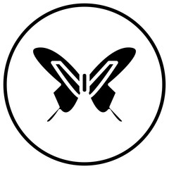 Fototapeta premium butterfly