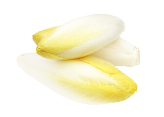 Endive, Chicory, Chicon, Witloof  / on transparent background