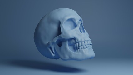 Skull 3d illustration. Man skull isolated. Concept art background image