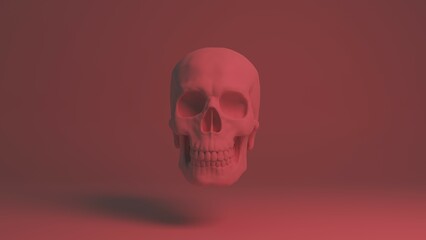Skull 3d illustration. Man skull isolated. Concept art background image