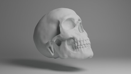 Skull 3d illustration. Man skull isolated. Concept art background image © Данило Смик
