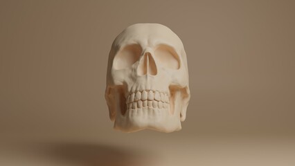 Skull 3d illustration. Man skull isolated. Concept art background image