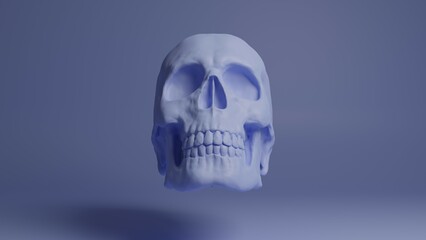 Skull 3d illustration. Man skull isolated. Concept art background image