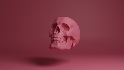 Skull 3d illustration. Man skull isolated. Concept art background image