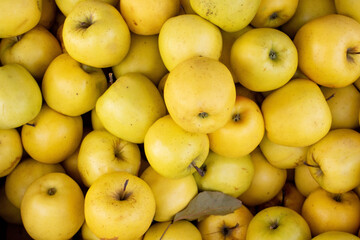 Ripe yellow apples. Top view of a lot of apples. Tray farmer's market