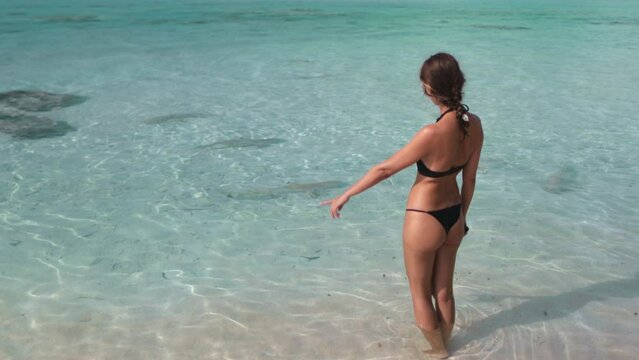 Woman in bikini standing in ocean water and looking at lemon reef sharks swimming around. Crystal turquoise water and white sand. Travel, tourism, holiday. Wild nature Tikehau island, French Polynesia