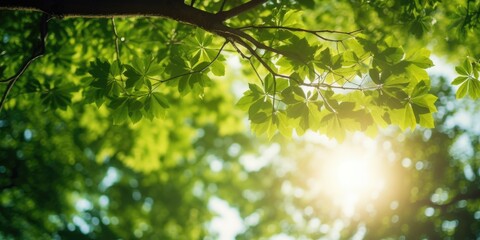 Fototapeta na wymiar Fresh leaves on summer natural green background. Generative AI