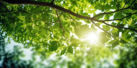 Fototapeta na wymiar Fresh leaves on summer natural green background. Generative AI