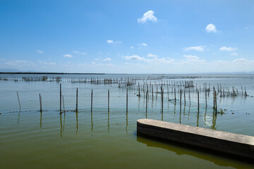 Fototapeta premium Typical fishing system with Rods and Sticks in The Albufera Lagoon