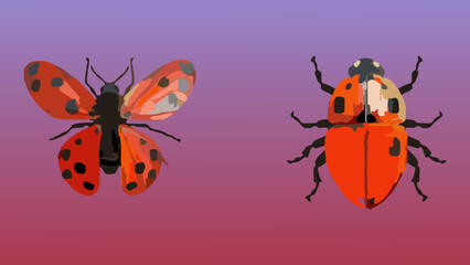 Fototapeta premium Abstract Beetles