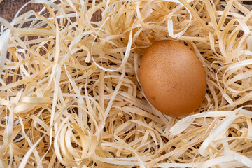 One chicken egg in the nest. Natural chicken egg. Fresh brown egg in a straw nest.