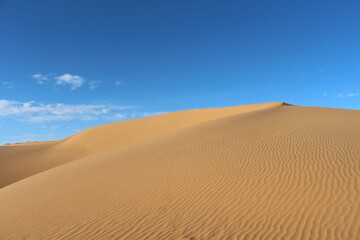 sand dunes in the desert