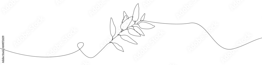 Poster one line continuous draw eucalyptus vector icon. linear background eucalyptus branch icon. one line 