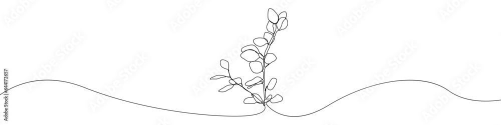 Poster one line continuous draw eucalyptus vector icon. linear background eucalyptus branch icon. one line 