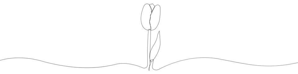 One line continuous draw tulip vector icon. Linear background tulip icon. One line hand draw tulip leaf vector symbol.