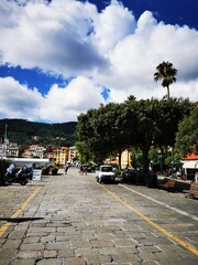 Photo of a palm-lined street with parked cars