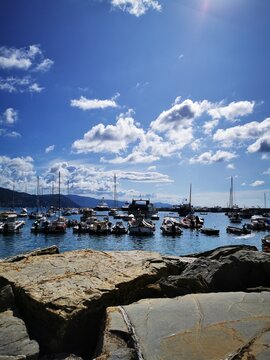 Photo of a vibrant harbor filled with boats under a clear blue sky