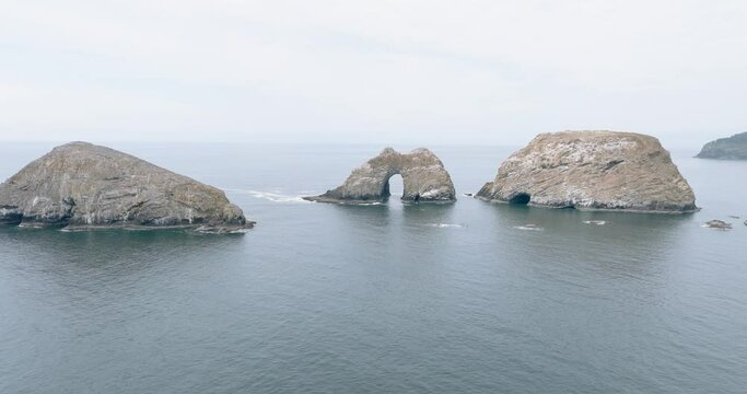 Fog blankets Oregon's coastal wonderland.
