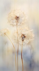 A dandelion in focus against a soft and blurred background