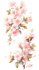 Obraz na płótnie Canvas Pink cherry blossom