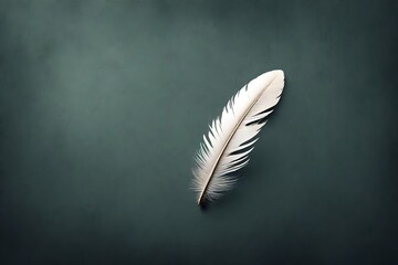 Create a captivating image of a solitary feather drifting in the breeze.  - obrazy, fototapety, plakaty
