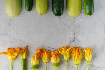 Zucchini squash flowers on light grey background, Banner. healthy food concept.
