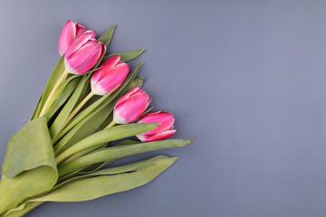  Bouquet of pink tulips. Mothers day, Valentines Day, Birthday celebration concept. Greeting card. Copy space for text, top view
