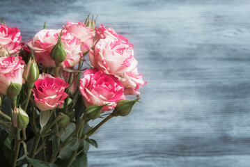 Blooming roses on wood blurred background with copy space