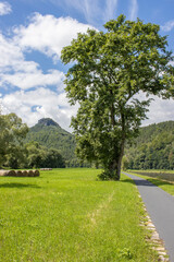 Fototapeta na wymiar Elberadweg in der Saechischen Schweiz