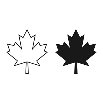 Maple leaf vector symbol icon design. Illustration of Canada leaf icon design