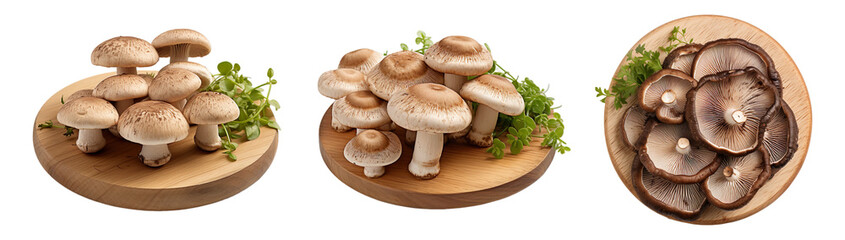 Set of Three Mushroom on wooden plate, platter isolated on transparent background.