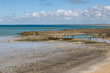 Fototapeta na wymiar Piscine de mer à marrée basse sur la plage du Plat Gousset à Granville